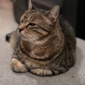 Meet your Posher, Ruth